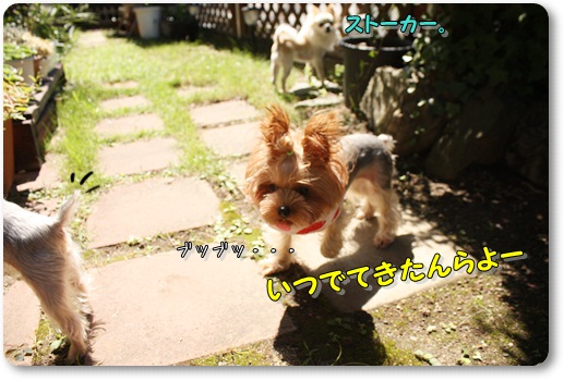にわ3