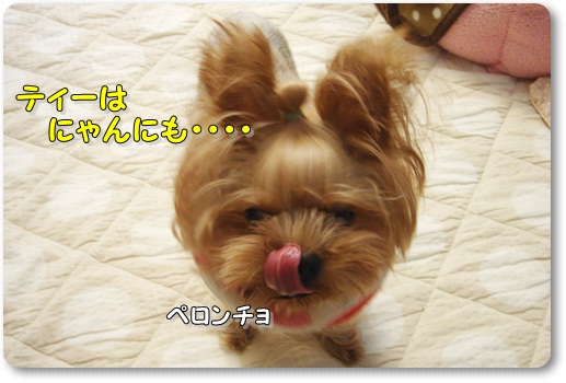 くさ2