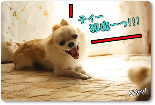 まだ8
