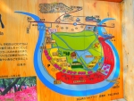 巾着田02