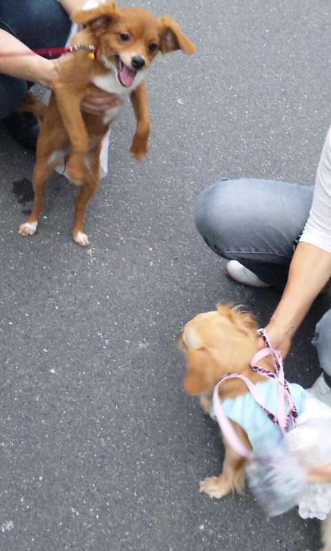 SIZUKA & PURIN_20130629