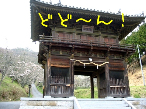 201304010.jpg
