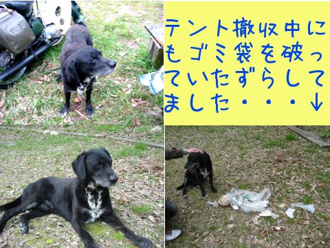2013040111.jpg