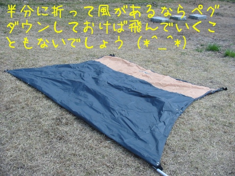 2013040305.jpg