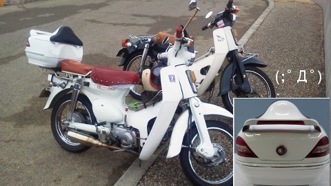201305211.jpg