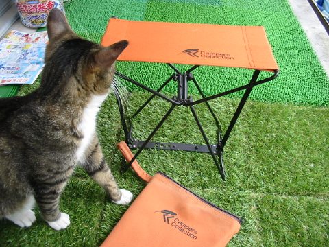 201306164.jpg