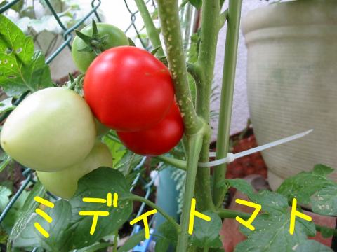 201307023.jpg