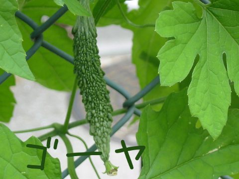 201307027.jpg