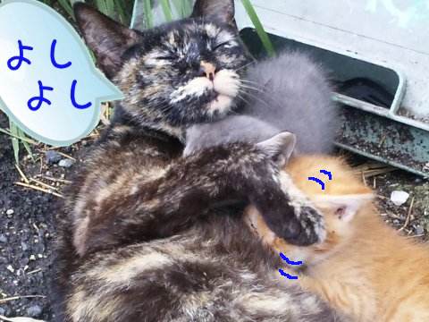 201307036.jpg