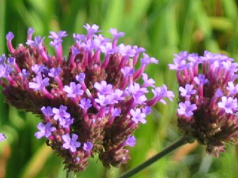 2013071018.jpg