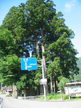 2013071022.jpg