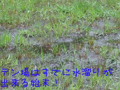 201307134.jpg