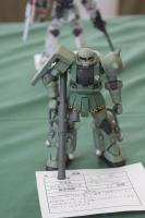 IMG_0981.jpg