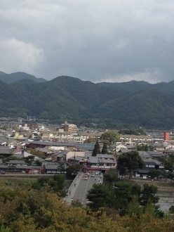 IMG_2900.jpg