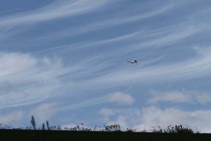 IMG_1847.jpg