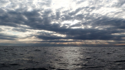 PC081161.jpg