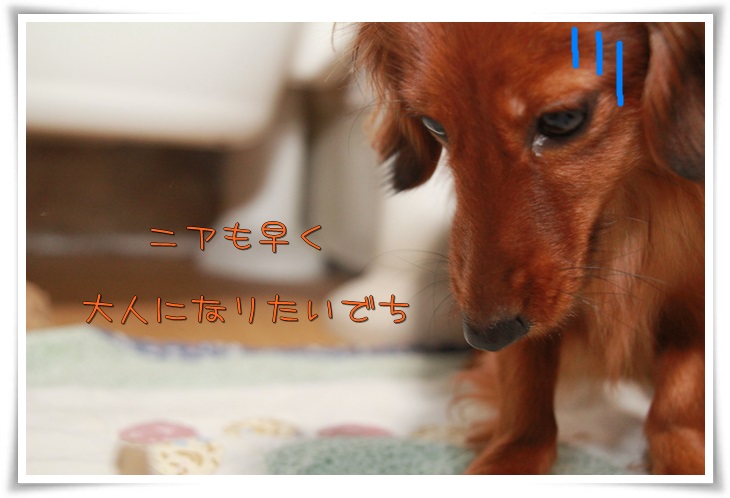 願い