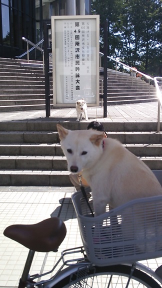DSC_0184.jpg