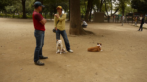 P1230444.jpg