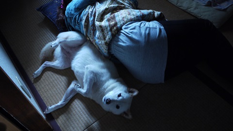 P1230551.jpg
