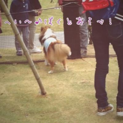茨城オフ8