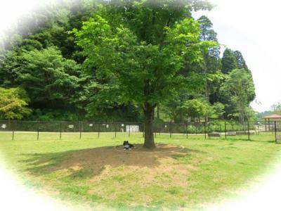 とんでもない男