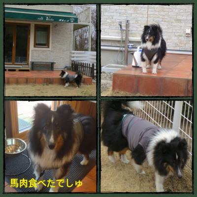那須2日目2