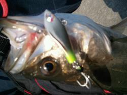 iphone_20110828075543.jpg