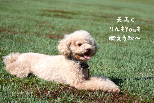 110928k-12.jpg
