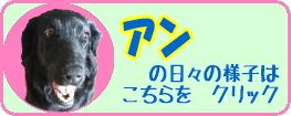 クリック