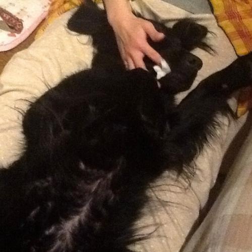 image_20130125194901.jpg