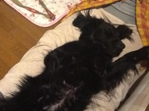 image_20130125195029.jpg