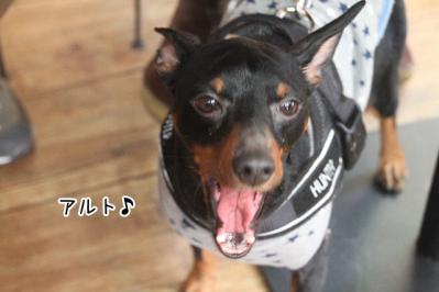 2012_12_09_9999_10.jpg