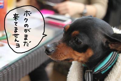 2012_12_09_9999_18.jpg