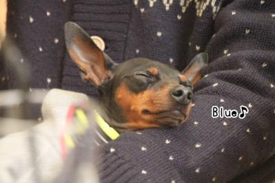 2012_12_09_9999_39.jpg