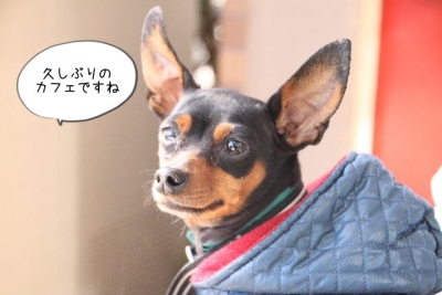 2013_11_23_9999_20.jpg