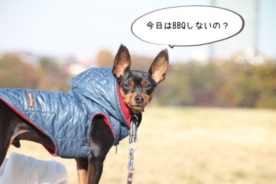 2013_11_23_9999_94.jpg