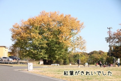 2013_11_23_9999_96.jpg