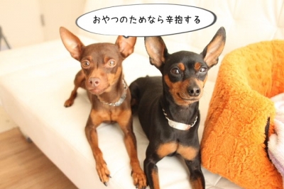 2013_11_26_9999_23.jpg