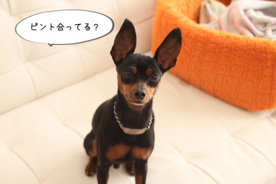 2013_11_26_9999_9.jpg