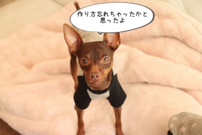 2013_12_03_9999_2.jpg