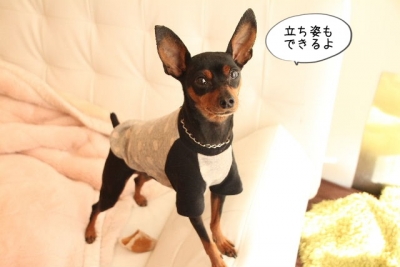2013_12_03_9999_3.jpg