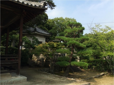 太子260727_21