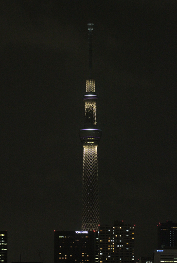 IMG_8669.jpg