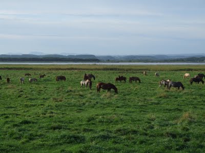 k20110913_4.jpg