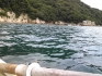 PAP_0659_20140916194020ad5.jpg