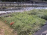 PAP_0678_20140917233851afa.jpg