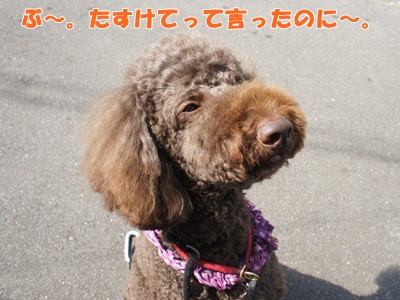 fio2