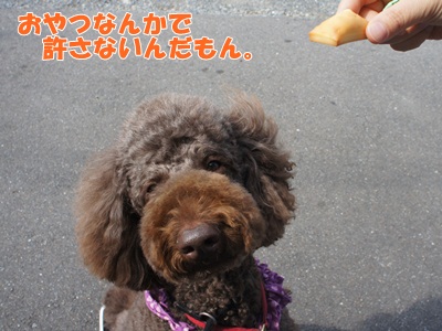 fio3