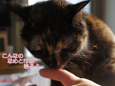 nya2